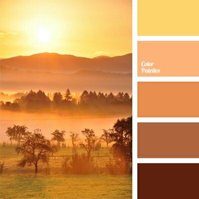 Golds In Color Balance, Color Palette Ideas, Orange Color Palettes, Brown Color Schemes, Monochrome Palette, Warm Palette, Palette Ideas, Interior Painting, Design Seeds