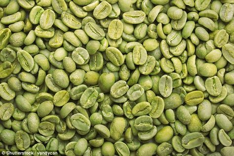 A nutritionist claims enjoying the brew could help you lose weight - because it's packed full of fat-fighting compounds Jamaican Blue Mountain Coffee, Blue Mountain Coffee, Fresh Coffee Beans, Coffee Health Benefits, Healthy Coffee, Green Coffee Bean, Coffee Brewer, Gourmet Coffee, Coffee Tasting