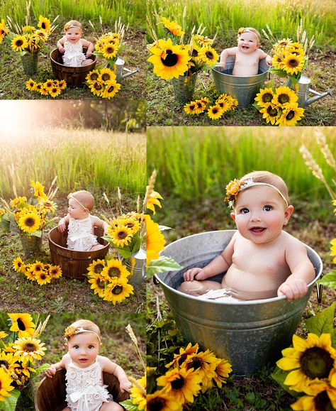 South Jersey sunflower photo shoot  allykimptonphotography.com Baby Milk Bath, Fall Baby Pictures, 6 Month Baby Picture Ideas, Milk Bath Photography, Bath Photography, Sunflower Photo, South Jersey, Foto Baby, Foto Tips