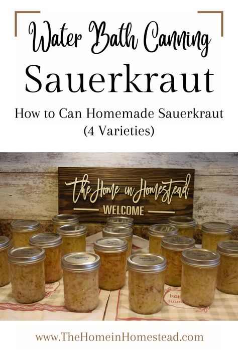 Homemade Sauerkraut Home Canned in Mason Jars Canning Saurkraut Recipes, How To Can Sour Kraut, Canning Sour Kraut Water Bath, Canning Sauerkraut Recipes, Canned Sauerkraut, Canning Sauerkraut, Canning Veggies, Homemade Sauerkraut, Pint Mason Jars