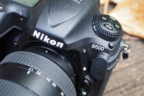 8 Things to Try With The Nikon D500 Nikon Dslr Camera, Nikon D500, Things To Try, Nikon Camera, Nikon Dslr, Perfect Model, Photography Lessons, Camera Nikon, Photography Camera