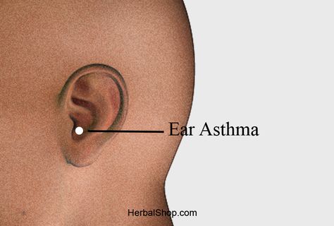 Name: Ear-asthma (asthma control point)  Location:  at apex of antitragus.  Benefits:  asthma, bronchitis, and shortness of breath.  To activate your body’s self-healing power, first locate of the acupressure points that you need to work on for your specific needs. Apply firm pressure is the most fundamental technique. Use thumbs, fingers, palms, the side of the hand, Ear Reflexology, Vapo Rub, Acupressure Point, Asthma Inhaler, Types Of Diseases, Reflexology Chart, Holistic Health Remedies, Pointed Ears, Vintage Pop Art