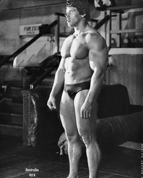 @bodybuilding70s on Instagram: “@schwarzenegger off season 1974” Arnold Schwarzenegger Bodybuilding, Schwarzenegger Bodybuilding, Pumping Iron, Mr Olympia, Conan The Barbarian, Golds Gym, Good Poses, The Goat, Arnold Schwarzenegger