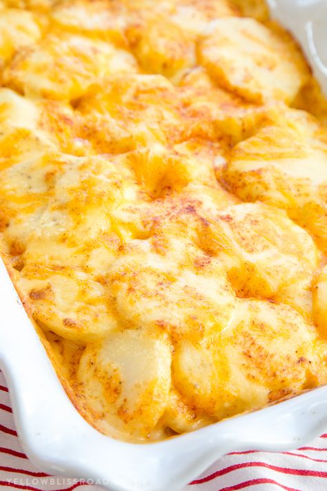 These Easy, Cheesy Scalloped Potatoes are smothered in a creamy cheese sauce and baked to perfection. They are sure to be a hit at your holiday feast. Easy Cheesy Scalloped Potatoes Recipe, Easy Cheesy Scalloped Potatoes, Cheesy Scalloped Potatoes Recipe, Cheesy Scalloped Potatoes, Scalloped Potatoes Easy, Potatoes And Cheese, Scalloped Potatoes Cheesy, Scalloped Potato Recipes, Scallop Recipes