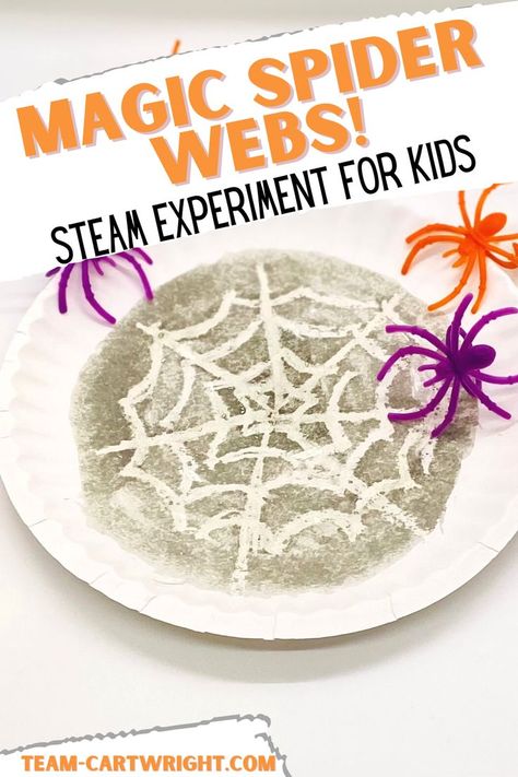 Text: Magic Spider Webs! STEAM Experiment for Kids
Picture: paper plate with magic spider web that appeared with black paint, 2 purple plastic spiders and 1 orange plastic spider Prek At Home, Spiders Kindergarten, Spider Crafts Preschool, Magic Spider, Spider Lessons, Spiders Preschool, Halloween Science Activities, Spider Web Craft, Spider Activities