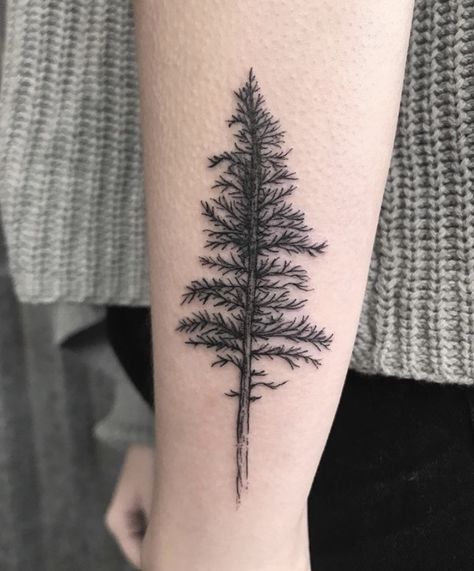 such a delice piece Christmas Tattoo Ideas, Pine Tattoo, Tree Tattoo Arm, Tree Tattoo Back, Pine Tree Tattoo, Christmas Tattoo, Tree Tattoo Designs, Incredible Tattoos, E Tattoo