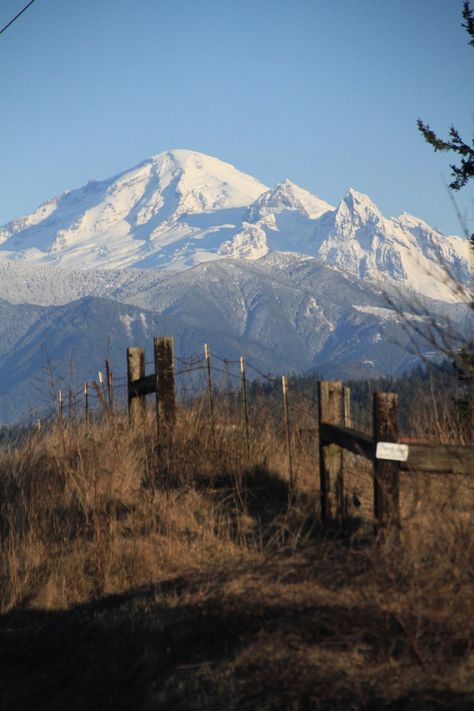 Mt. Baker | Washington State Rural Washington, Mt Baker Washington, Eva Core, Colorado Life, Mt Baker, Minecraft Inspo, Gay Aesthetic, Adventure Aesthetic, Nature Scenery