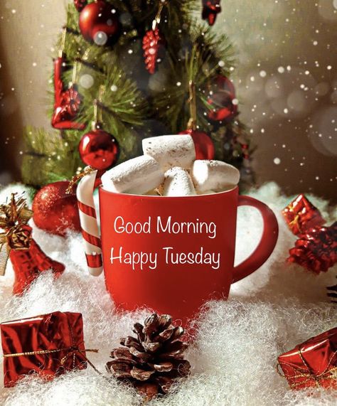 Good Morning Monday Christmas Images, Happy Tuesday Winter Images, Happy Tuesday Christmas, Good Morning Tuesday Winter, Gm Tuesday, Weekday Motivation, Tuesday Christmas, Tuesday Coffee, Tuesday Quotes Good Morning