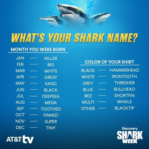 Shark Names, Shark Birthday Party, Shark Birthday, Name Generator, Generators, Things To Do, Birthday Party, Birthday, Quick Saves