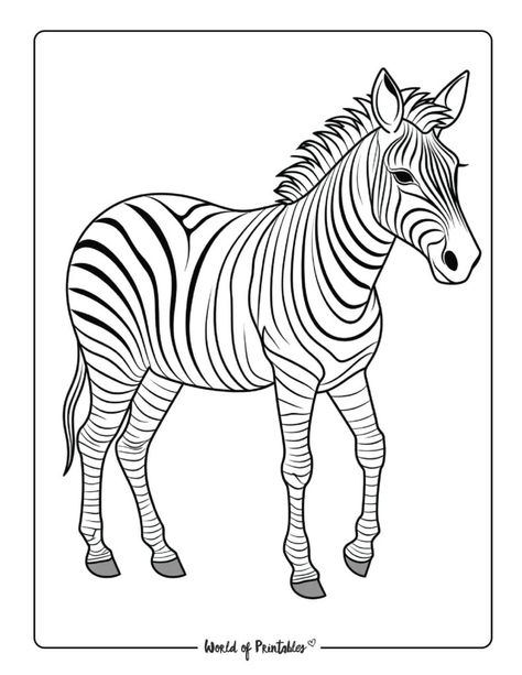 Animal Coloring Pages For Kids & Adults - World of Printables Zebra Coloring Pages, Animal Coloring Pages For Kids, Peacock Coloring Pages, Zebra Drawing, Lion Coloring Pages, Panda Coloring Pages, Penguin Coloring Pages, Elephant Coloring Page, Puppy Coloring Pages