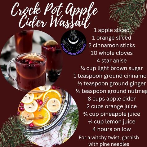 There are a few different variations but here is one! Yule Drinks Winter Solstice, Wassail Recipe Alcoholic, Winter Wassail Cocktail, Hot Mulled Cider Recipe, Crock Pot Apple Cider, Witches Cupboard, Yule Party, Solstice Traditions, Wicca Holidays