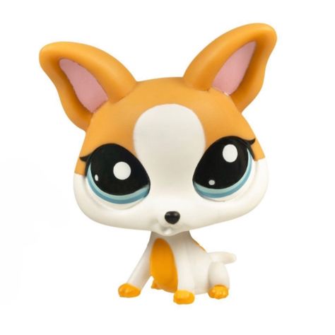 Lps Chihuahua, Lps Custom, Lps, Pet Shop, Chihuahua, Pet