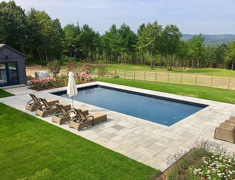 Inground Pool Ideas, Square Pool, Rectangular Swimming Pools, Inground Pool Landscaping, Rectangle Pool, Backyard Layout, Pools Backyard Inground, Pool Renovation, Pool Landscape Design