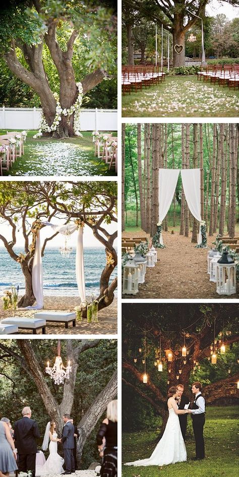 If you’re getting married outdoors, you might find the perfect setting for your ceremony under a big, beautiful tree.  If you do, you’ll want to keep the natural beauty all around you, but still dress up the spot.  So how do you do that?  Well, you can place ceremony markers on either side of you … Outdoor Wedding Ceremony Tree, Wedding Under Trees, Outdoor Wedding Ceremony Ideas, Backyard Wedding Ceremony, Small Backyard Wedding, Wedding Ceremony Ideas, Outdoor Trees, Wedding Ceremony Photos, Ceremony Ideas