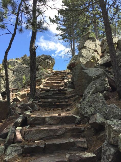 There are a few tough sections, including this spot where you'll climb some stairs set into the mountain. South Dakota Road Trip, South Dakota Vacation, South Dakota Travel, Wind Cave National Park, Black Hills South Dakota, Yellowstone Trip, Custer State Park, Badlands National Park, National Park Vacation