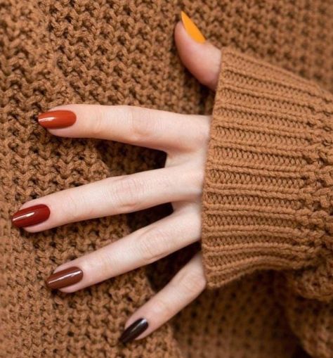 Pose Mode, Fun Nail Colors, Nagellack Trends, Fall Gel Nails, October Nails, Cute Nails For Fall, Her Nails, Fall Nail Colors, Autumn Nails