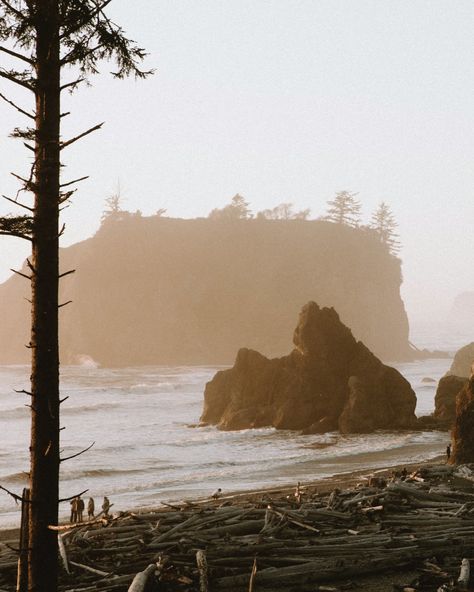 Happy October from Washingtons Olympic Peninsula🌲🌫️🍁🕸️🌊🌿 Olympia Washington Aesthetic, Washington Aesthetic, Olympia Washington, Happy October, Olympic Peninsula, Olympia, Washington, Quick Saves