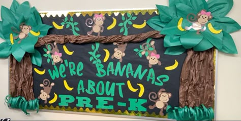 Jungle Theme Bulletin Boards Preschool, Zoo Bulletin Board Ideas Preschool, Safari Bulletin Board Ideas, Pre K Bulletin Board, Monkey Door Decorations Classroom Decor, Monkey Bulletin Board Ideas, Lunch Boards, Safari Bulletin Boards, Monkey Bulletin Boards