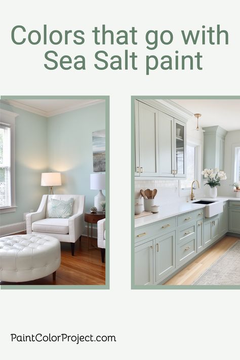 Looking for the perfect accent colors to add to your home? Here are the top coordinating colors for Sherwin Williams Sea Salt. Sea Salt Paint Sherwin Williams, Sea Salt Color Combinations, Sherwin Williams Sea Spray, Sea Salt Bedroom Ideas, Sherman Williams Sea Salt, Sea Salt Coordinating Colors, Sherwin Williams Sea Salt Palette, Sea Salt Kitchen, Sw Sea Salt