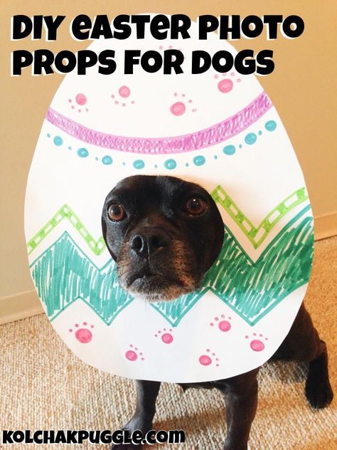 DIY Easter Photo Props For Dogs | Make Your Dog an Egghead Easter Dog Photos, Easter Photo Props, Photo Props Diy, Easter Photoshoot, Animal Photoshoot, Rabbit Photos, Dog Calendar, Easter Dog, Dog Photoshoot