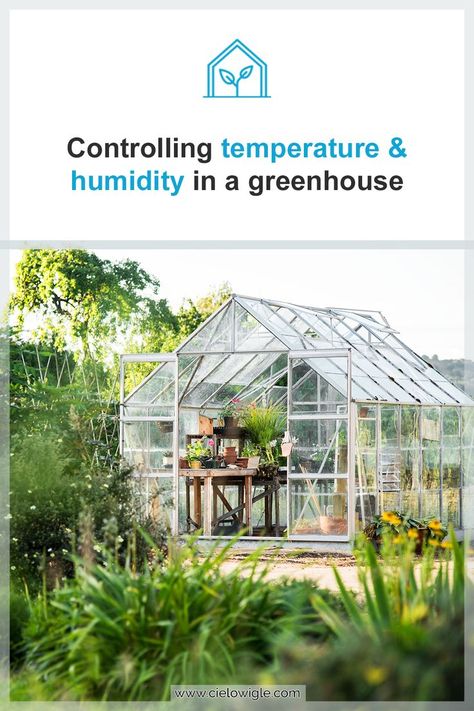 Bad climate conditions can drastically affect your plants' growth and survival ability. To keep your plants happy and healthy all year round, you need to maintain the perfect temperature and humidity levels in your greenhouse. How? Just follow these easy tips and tricks. #Greenhouse #Plants #Humidity #Temperature #ClimateControl Plants Humidity, Best Greenhouse, Greenhouse Plants, Climate Control, Happy And Healthy, Temperature And Humidity, Temperature Control, Heating And Cooling, Tips And Tricks