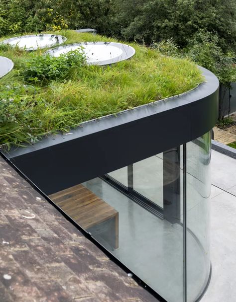 Curved Extension, Small House Extensions, Sedum Roof, Riverside Garden, Green Roof System, Victorian Renovation, Green Roofs, Earth Sheltered, Room Extensions