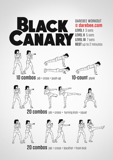 Black Canary Workout Superhero Workouts, Boxing Circuit, Movie Workouts, Neila Rey, Hero Workouts, Superhero Workout, Trening Sztuk Walki, Workout Plans, Boxing Workout