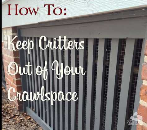 To keep your house safe you need to seal up your crawlspace from critters. Here's some helpful tips to do it right. Skirting Ideas, House Skirting, Deck Skirting, Manufactured Home Remodel, Building A Porch, Deck Designs Backyard, Home Porch, House With Porch, Home Safes