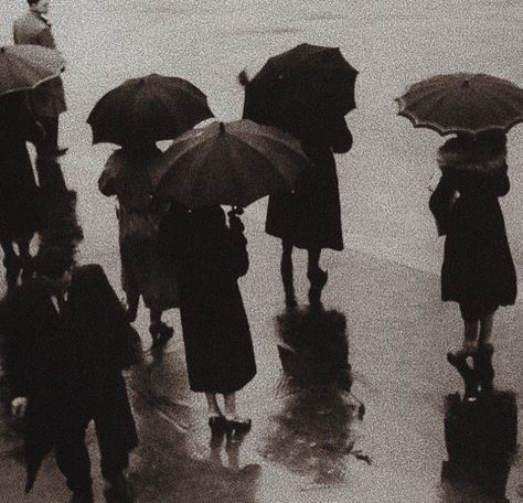 In The Rain, A Group, The Rain, Walking, Black And White, White, Black