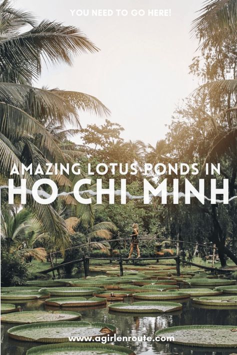 You Won’t Believe These Lotus Ponds & Gigantic Lily Pads Are In Ho Chi Minh City – A Girl En Route Things To Do In Ho Chi Minh City, Packing Vietnam, Hi Chi Minh City, Vietnam Ho Chi Minh City, Hi Chi Minh, Adventure Fund, Vietnam Vacation, Vietnam Trip, Dreamy Destinations