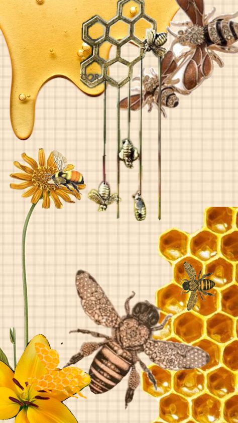 BEES!! my current hyperfixation:) Cute Bee Pictures, Bees Aesthetic, Honeycore Aesthetic, Bee Collage, Bee Projects, Bee Bookmark, Bee Conservation, Bee Artwork, Bee Book