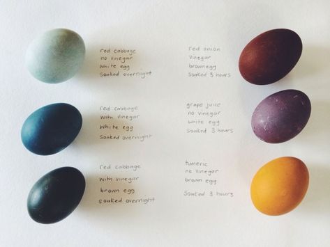 Dyeing Eggs, Natural Easter Eggs, Dyed Eggs, Naturally Dyed Easter Eggs, Photobooth Ideas, Colored Eggs, Egg Dye, Easter Egg Dye, Spring Holidays