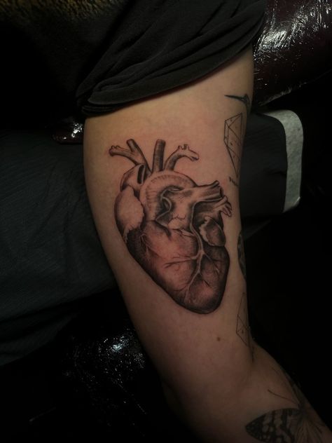 Anatomical heart tattoo Human Heart Tattoo Designs, Heart On Your Sleeve Tattoo, Heart On Sleeve Tattoo, Anatomical Tattoo, Real Heart Tattoos, Human Heart Tattoo, Realistic Heart Tattoo, Anatomical Tattoos, Red Heart Tattoos