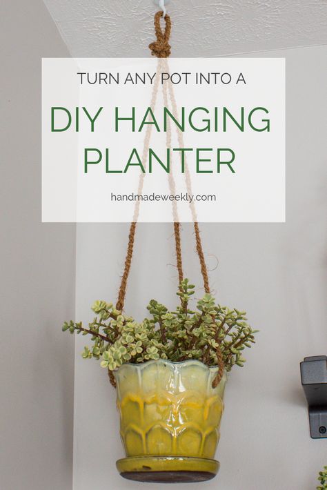 DIY Hanging Planter Houseplant Collection, Planters Diy, Diy Hanging Planter, Plant Containers, Houseplant Care, Hanging Planters Indoor, Plants Outdoor, Gardening Hacks, Plant Growing