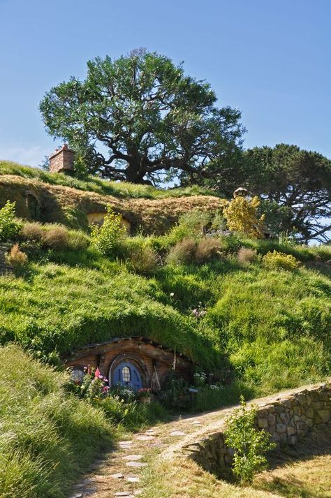 Hobbit Village, Hobbiton New Zealand, Casa Dos Hobbits, I Bought A House, Solo Hiking, Art Happiness, Casa Hobbit, New Zealand Itinerary, Northern Island