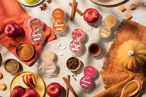 Scentsy Pods Fall/winter 2022, Fall Entry Table, Autumn Road Trip, Scentsy Go, Cinnamon Bear, Scentsy Pods, Fall Entry, Apple Bourbon, Cinnamon Bears