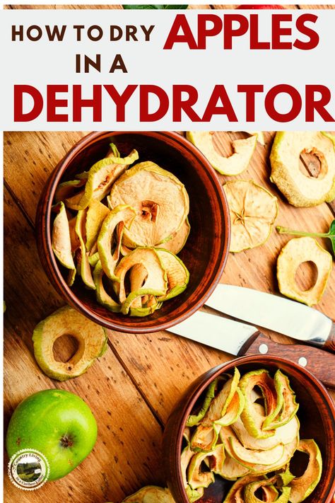 Learn how to dehydrate apples in a dehydrator with this easy Dried Apple Slices recipe. 3 ingredients to make this healthy snack that's nutritious and kids love dried apple chips! Dried Apple Recipes Dehydrator, Dehydrated Apple Slices In Dehydrator, Dried Apples Dehydrator, How To Dehydrate Apples, Dehydrate Apples, Dehydrating Apples, Apple Chips Dehydrator, Dried Apple Slices, Dried Apple Chips