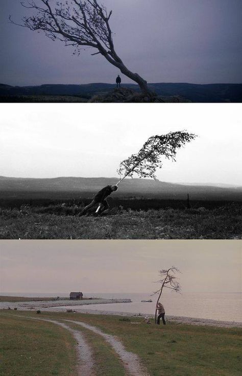 the man will be reborn from a tree. (Nymphomaniac, Lars von Trier, 2013 // The Virgin Spring, Ingmar Bergman, 1960 // The Sacrifice, Andrei Tarkovsky, 1986) Andrei Tarkovsky, Lars Von Trier, Filmmaking Cinematography, Ingmar Bergman, Movie Directors, The Sacrifice, Septième Art, Movie Shots, Film Inspiration