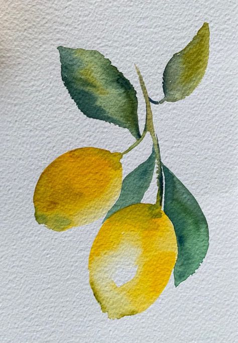 Cette aquarelle originale représente des citrons sur une branche, peints sur du papier aquarelle texturé 100% coton avec des aquarelles extra fines. j'aime peindre les citrons sous toutes leurs formes car ils sont décoratifs et lumineux. cette peinture, de petit format, sera facile à encadrer. cadeau sans faute de goût, cette aquarelle trouvera facilement sa place dans une cuisine ou une maison de vacances.ses dimensions : 15 cm x 23 cm. vendue directement par l'artiste, signée et non encad Simple Water Coloring Ideas, Aquarelle Ideas, Ocean Art Painting, Watercolor Branding, Loose Watercolor Flowers, Watercolor Lemon, Lemon Watercolor, Basic Watercolor, Learn Watercolor Painting