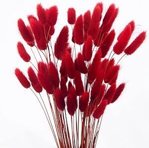 JOJAZE 60pcs Dried Bunny Tails Flowers Red Pampas Grass Natural Dried Floral Arrangement Dry Flowers for Christmas Halloween Boho Decor Home Wedding DIY Craft Decoration (16")… Red Flower Bouquet, Natural Bouquet, Gift Boxes Decoration, Tafel Decor, Chinese New Year Decorations, Diy Farmhouse Table, Grass Wedding, Bunny Tails, Country Christmas Decorations