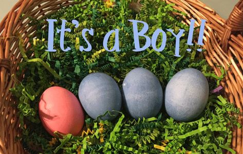 Egg Gender Reveal, Easter Egg Gender Reveal Ideas, Easter Gender Reveal Ideas, Eggspecting Announcement, Easter Egg Gender Reveal, Gender Reveal Deviled Eggs Recipe, Easter Egg Hunt Pregnancy Announcement, Easter Gender Reveal, Creative Gender Reveals