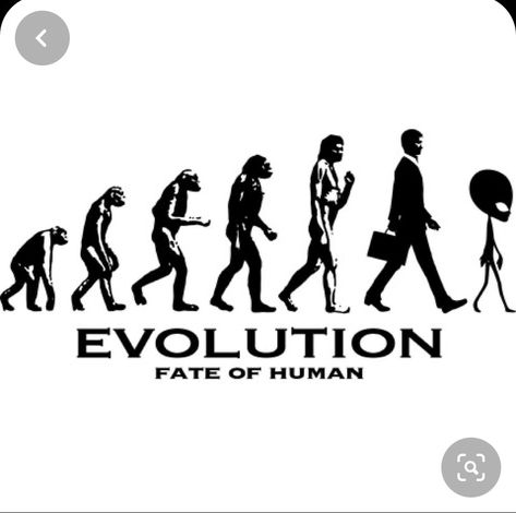 Human Evolution Tattoo, Human Evolution Art, Evolution Illustration, Charles Darwin Evolution, Darwin Evolution, Evolution Tattoo, Dna Tattoo, Evolution Art, Concept Cars Vintage