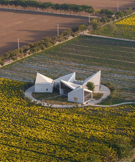 Cluster Architecture Plan, Cluster Architecture, Cluster House, Geometric Volume, Roof Shapes, Study Design, Desert Homes, Library Design, Traditional Architecture