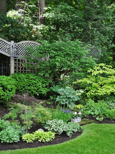 Shade Garden Design, Shade Garden Plants, Shade Gardens, Sloped Garden, Garden Shrubs, Have Inspiration, Woodland Garden, Shade Plants, Garden Cottage