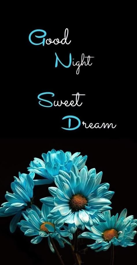 Beautiful Good Night Images Sweet Dreams, Sleepy Quotes, Good Night Msg, Very Good Morning Images, Good Night Sleep Well, Romantic Good Night Messages, Photos Of Good Night, Romantic Good Morning Messages, Good Night Cat