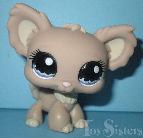 Lps Dog, Lps Toys, Lps Pets, Chihuahua Dog, Chihuahua Dogs, Littlest Pet Shop, Toy Boxes, Lps, Loving U