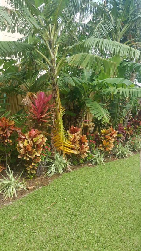 Hawaii Backyard, Hawaii Garden, Hawaiian Landscape, Landscaping Around Pool, Tropical Backyard Landscaping, Small Tropical Gardens, Tropical Landscape Design, Florida Landscaping, Florida Plants