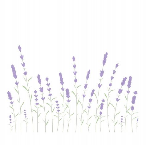 Lavender Cartoon, Cartoon Lavender, Lavender Icons, Cartoon Black Cat, Cosmetics Advertising, Lavender Background, Background Home, Flower Perfume, Blossom Branch