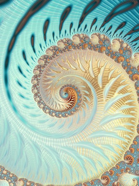 Fibonacci Spiral Nature, Fibonacci Art, Fibonacci Spiral, Sacred Geometry Art, Geometry Art, Patterns In Nature, Fractal Art, Art Collector, Sacred Geometry