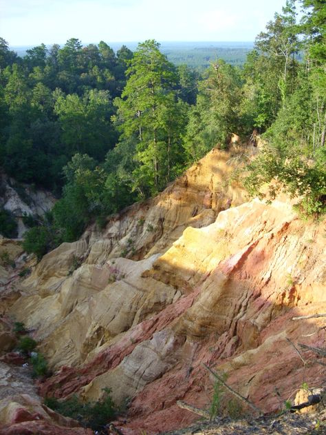 Red Bluff, Morgantown-Often referred to as the state’s “little Grand Canyon,” this sight, while breathtaking, is definitely an unexpected surprise. Nature Places To Visit, Forest Treehouse, Windsor Ruins, Adventure Forest, Mississippi Travel, Nature Places, Natchez Trace, Red Bluff, Ocean Springs